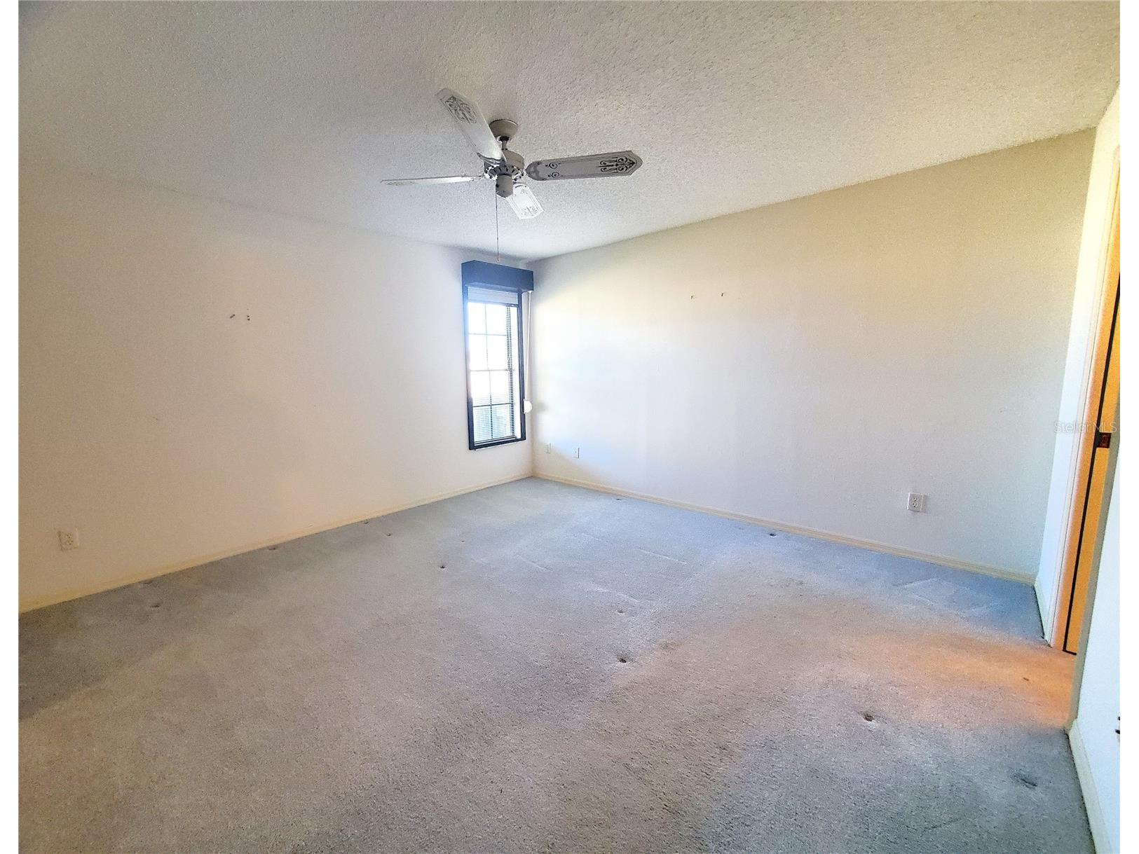 2053 Villa Terrace Clearwater FL 33763 TB8465533 image20