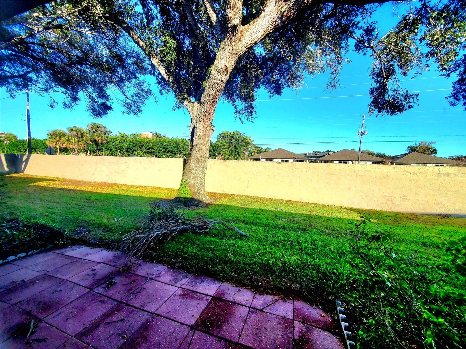 2053 Villa Terrace Clearwater FL 33763 TB8465533 image32