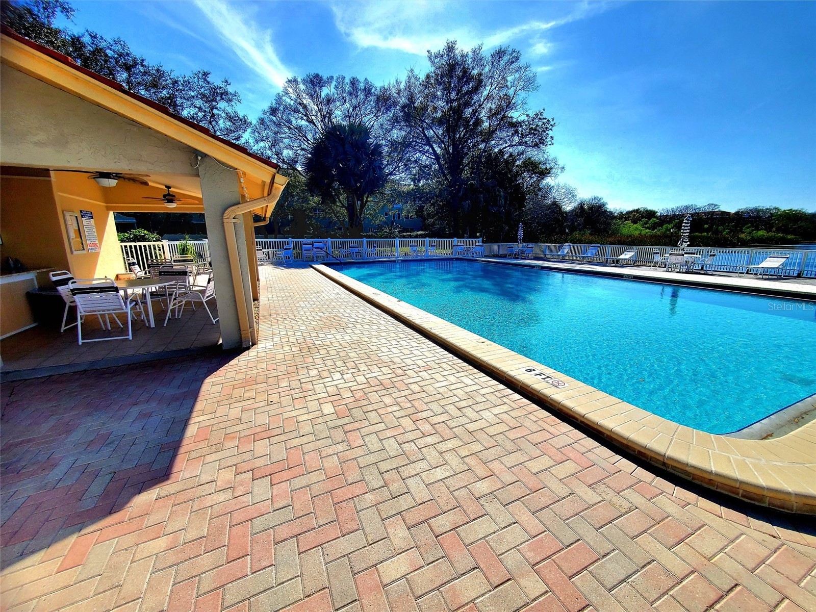 2053 Villa Terrace Clearwater FL 33763 TB8465533 image34