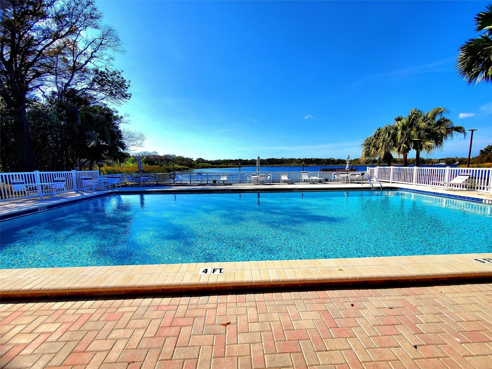 2053 Villa Terrace Clearwater FL 33763 TB8465533 image35