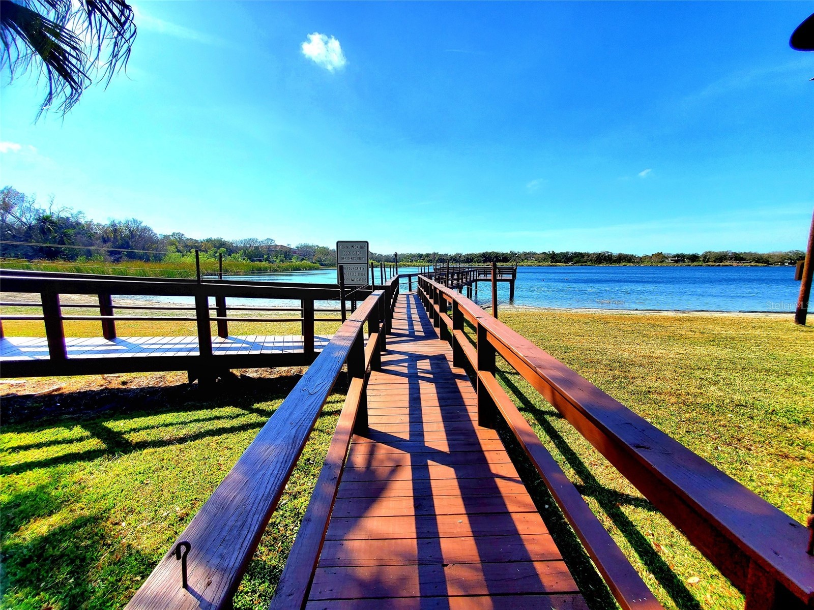 2053 Villa Terrace Clearwater FL 33763 TB8465533 image37