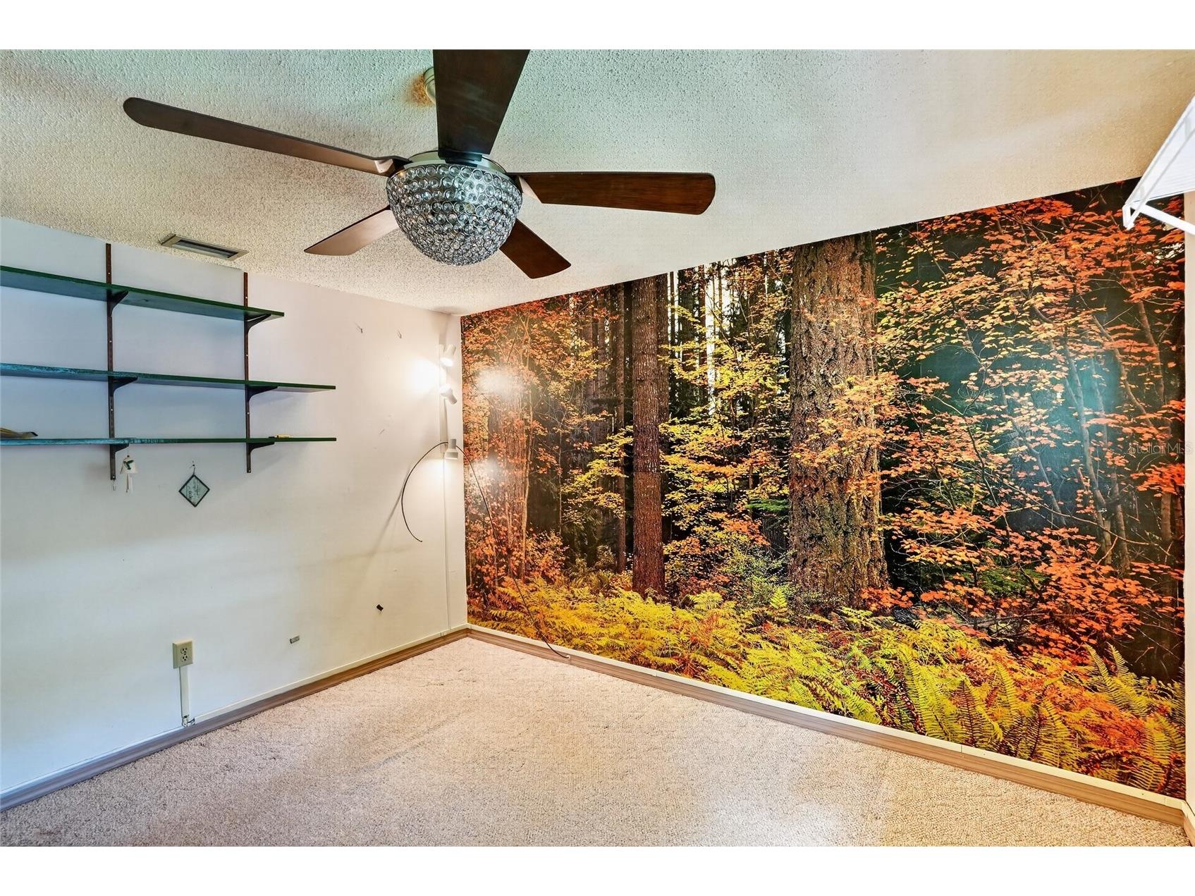 2053 Woody Drive Windermere FL 34786 O6421738 image26