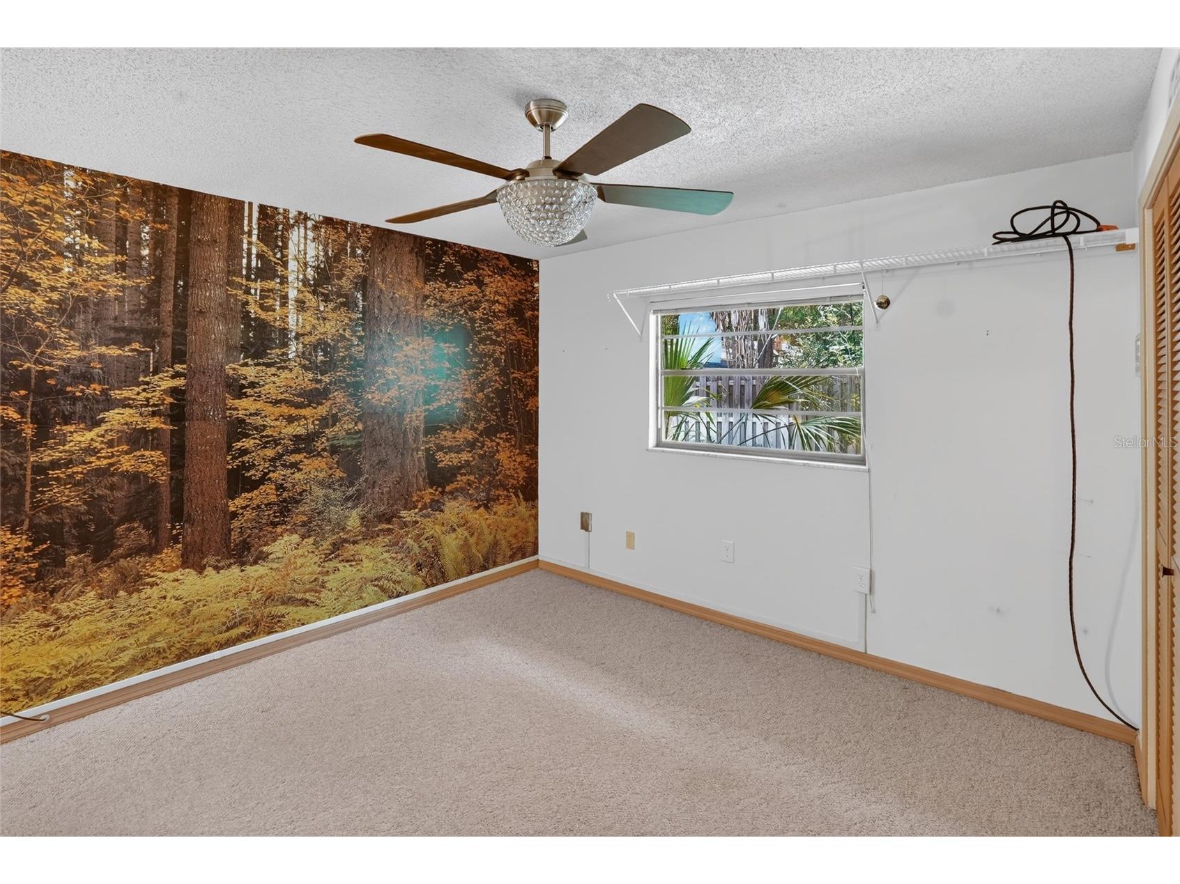 2053 Woody Drive Windermere FL 34786 O6421738 image27
