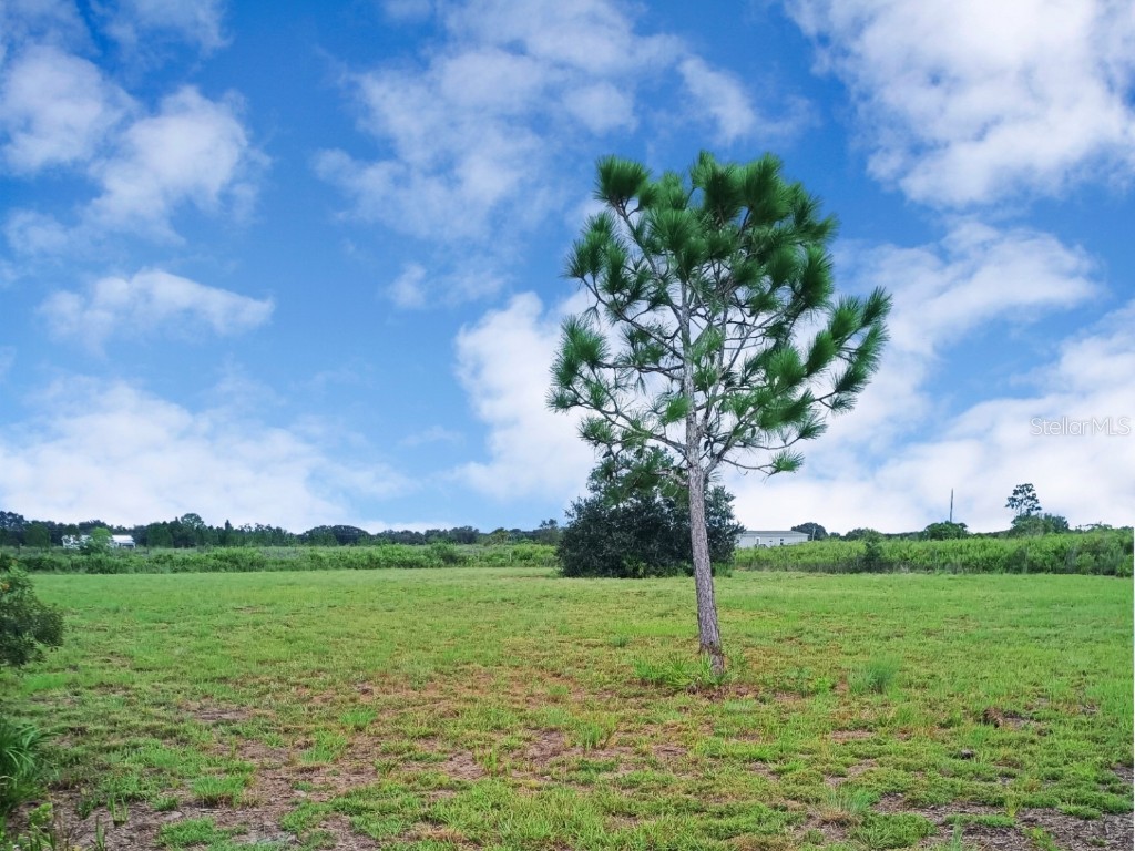 20533 NW 250th Street Okeechobee FL 34972 OK225549 image3