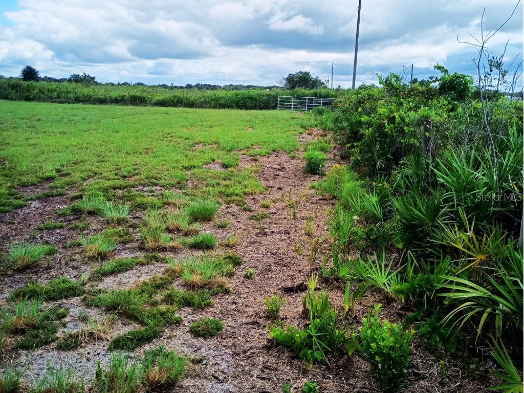 20533 NW 250th Street Okeechobee FL 34972 OK225549 image4