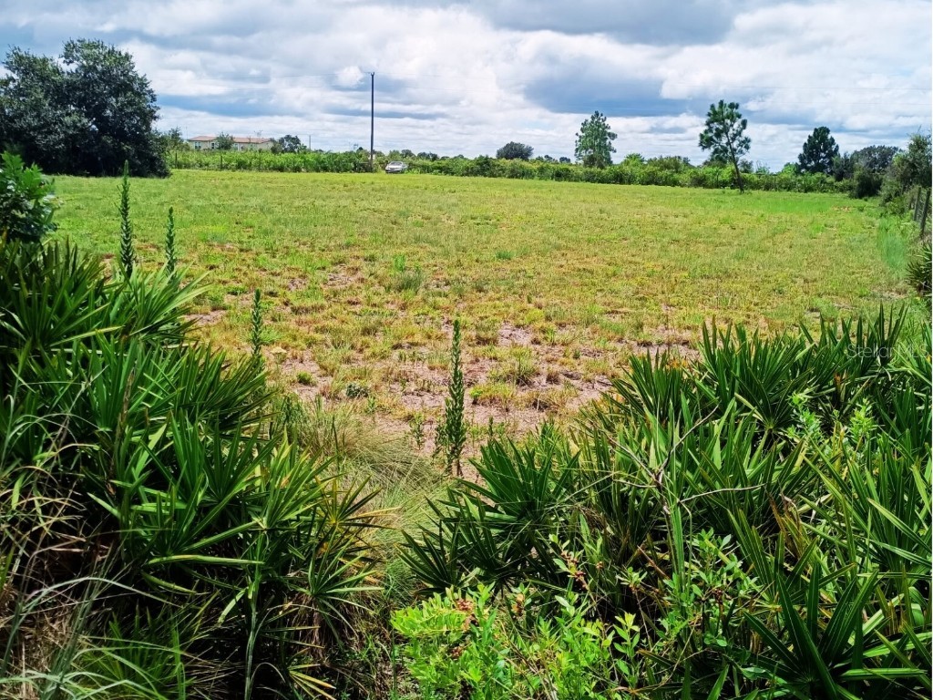 20533 NW 250th Street Okeechobee FL 34972 OK225549 image5