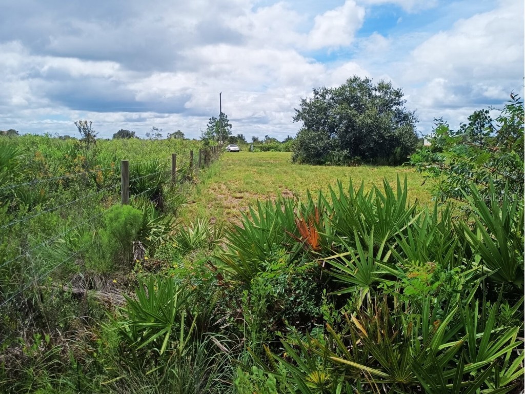 20533 NW 250th Street Okeechobee FL 34972 OK225549 image6