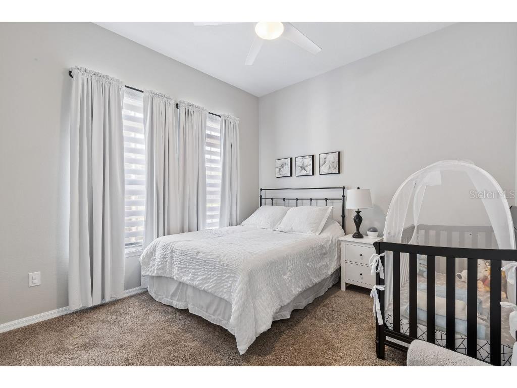 20537 Lace Cascade Road Land O Lakes FL 34637 TB8488411 image31