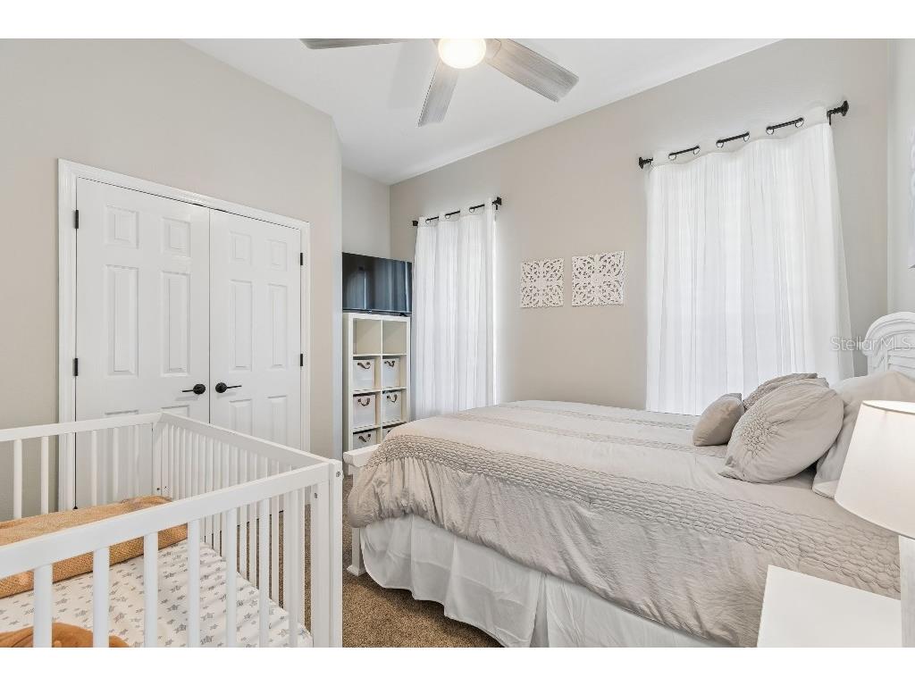 20537 Lace Cascade Road Land O Lakes FL 34637 TB8488411 image33