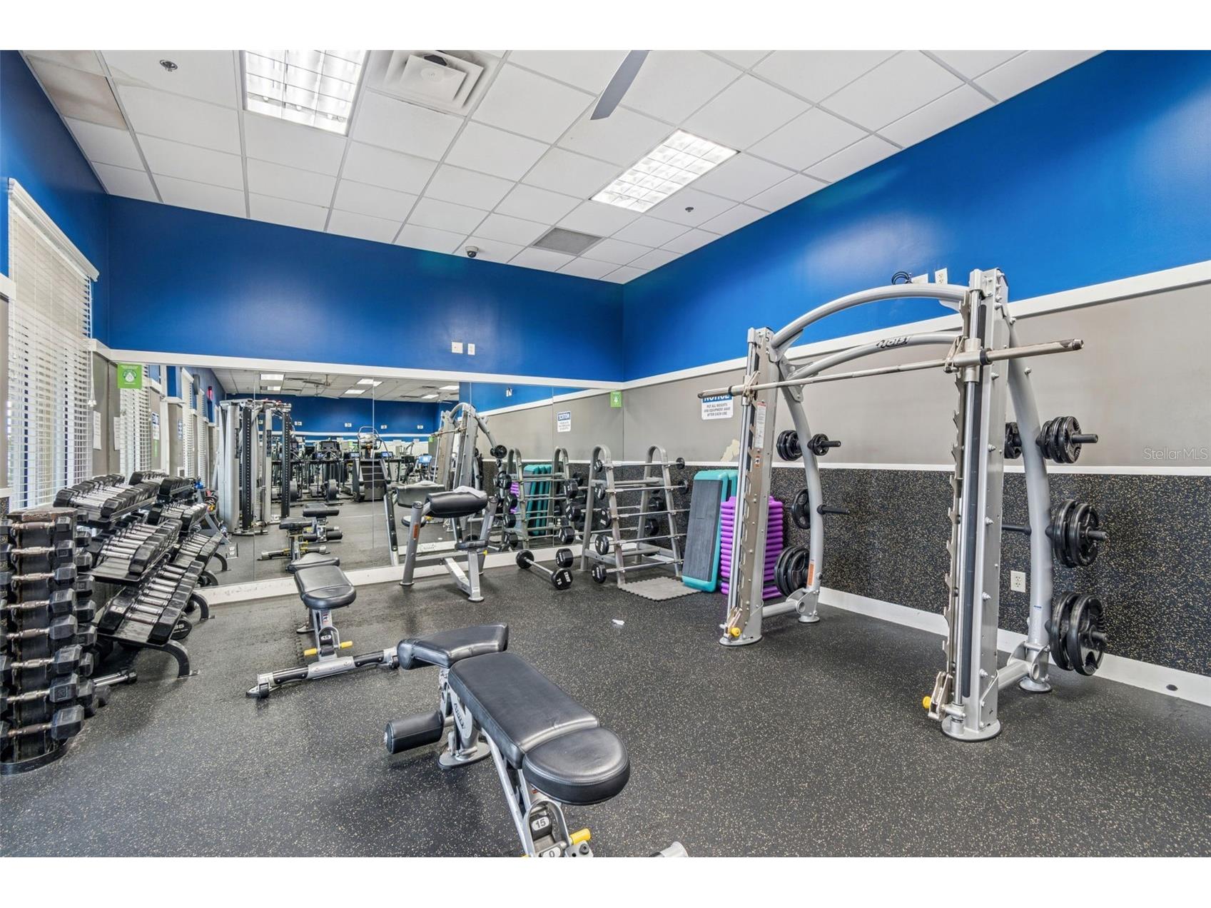 20537 Lace Cascade Road Land O Lakes FL 34637 TB8488411 image48