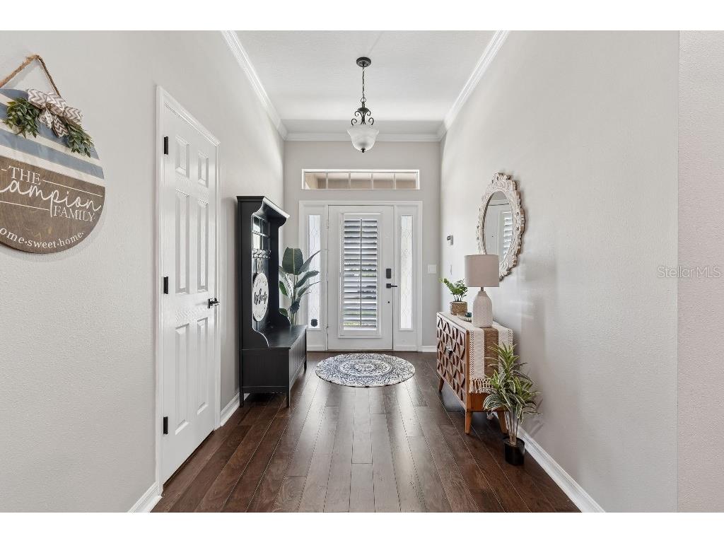 20537 Lace Cascade Road Land O Lakes FL 34637 TB8488411 image8