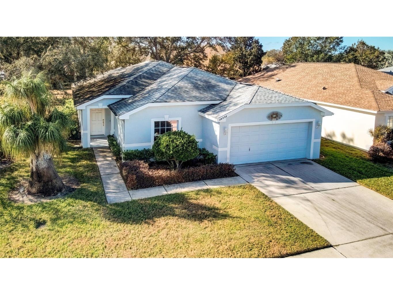 20538 Homossasa Court Land O Lakes FL 34637 TB8331788 image1
