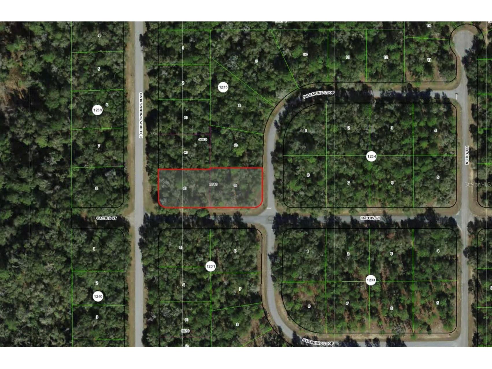 2054 E Citrus Springs Boulevard Citrus Springs FL 34434 OM724014 image1
