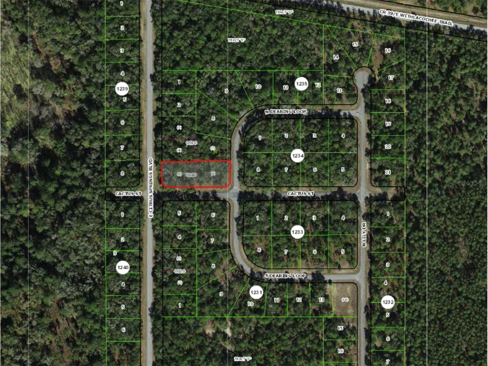 2054 E Citrus Springs Boulevard Citrus Springs FL 34434 OM724014 image2