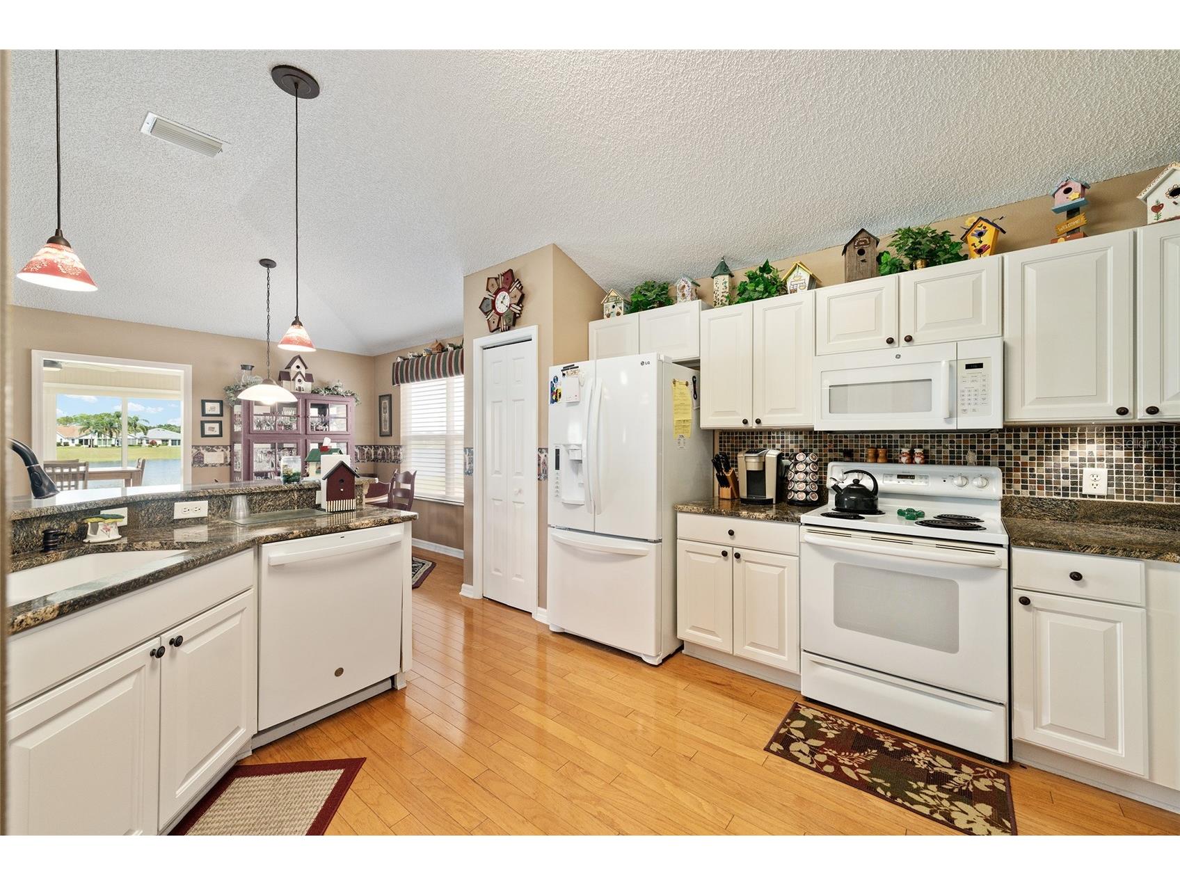 2054 Palo Alto Avenue The Villages FL 32159 G5102696 image10