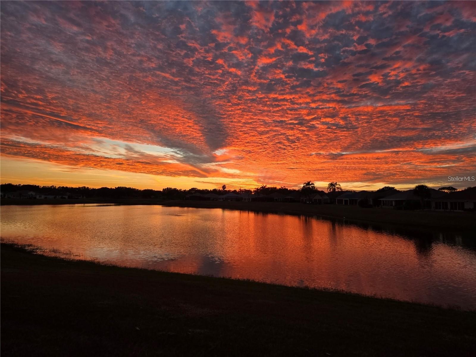 2054 Palo Alto Avenue The Villages FL 32159 G5102696 image31