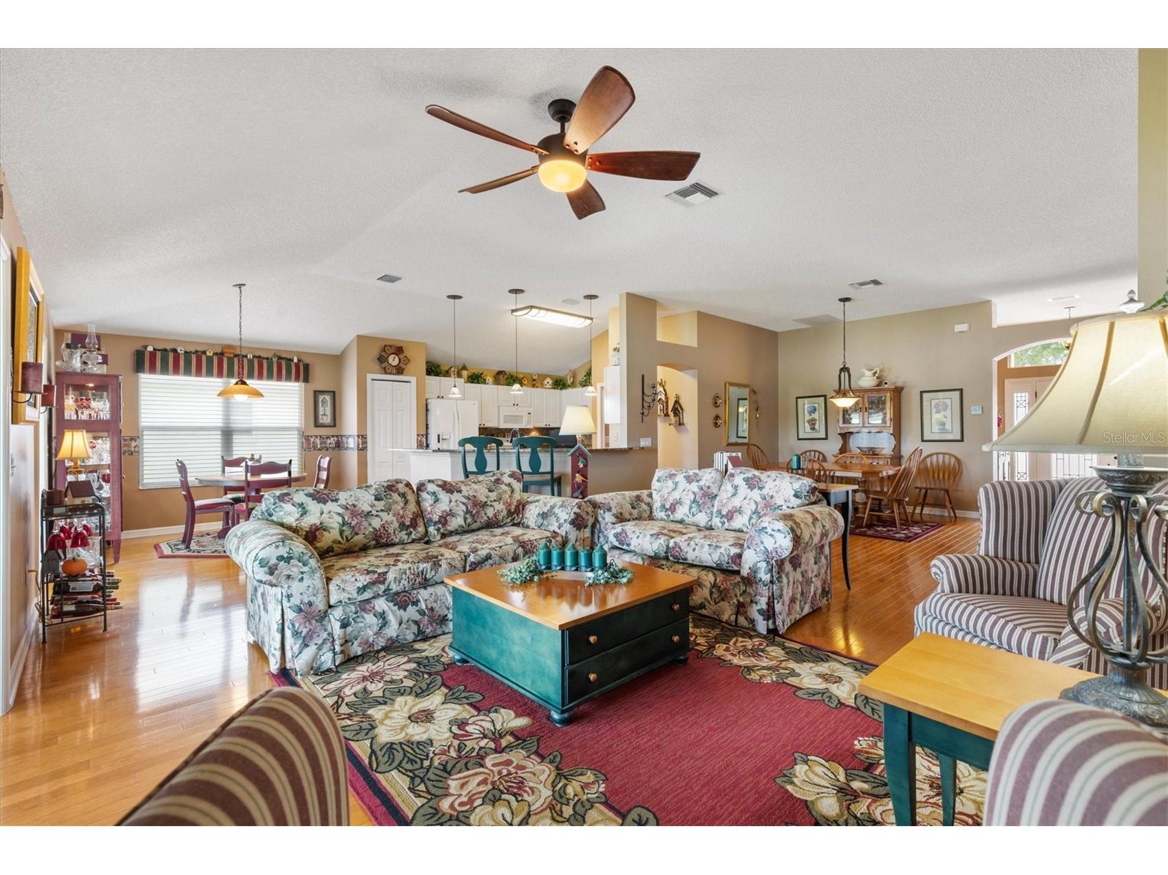 2054 Palo Alto Avenue The Villages FL 32159 G5113521 image9