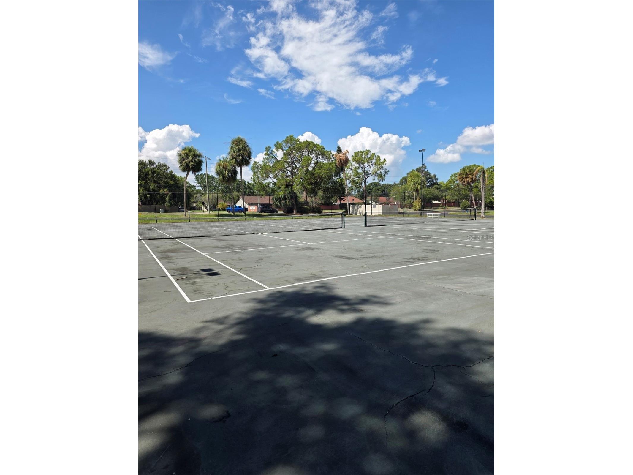 2054 Sunset Point Road #38 Clearwater FL 33765 TB8531629 image28