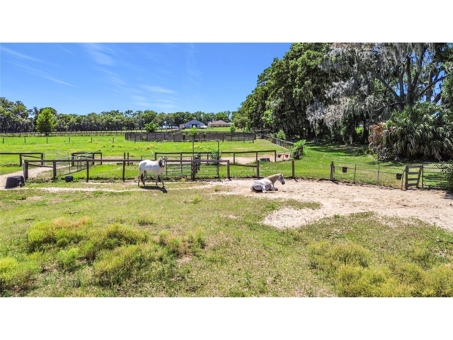 20540 SW 5th Place Dunnellon FL 34431 OM725007 image42