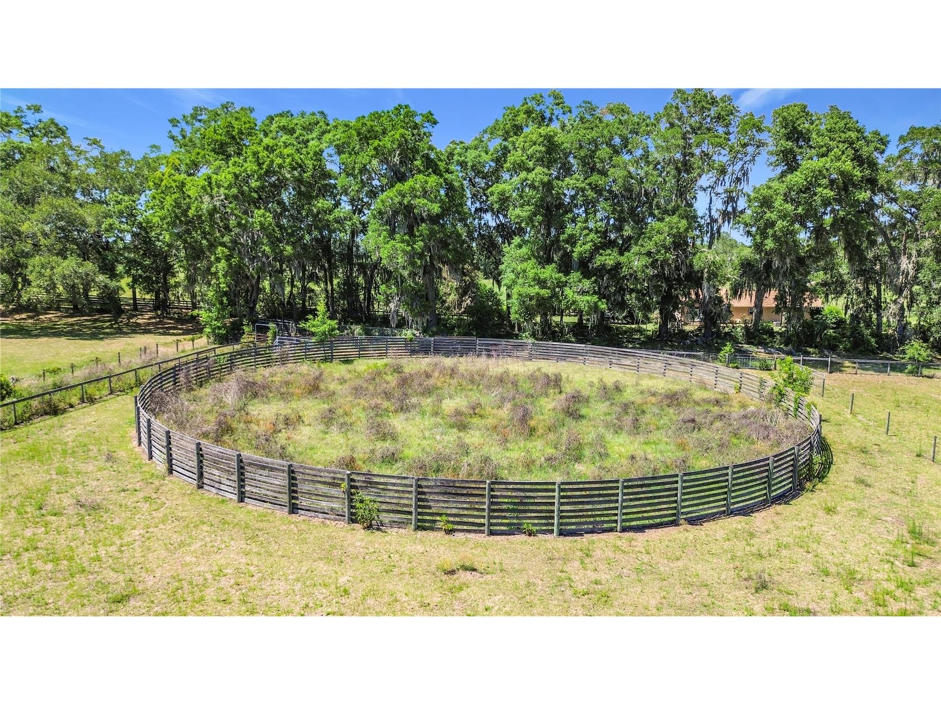 20540 SW 5th Place Dunnellon FL 34431 OM725007 image43