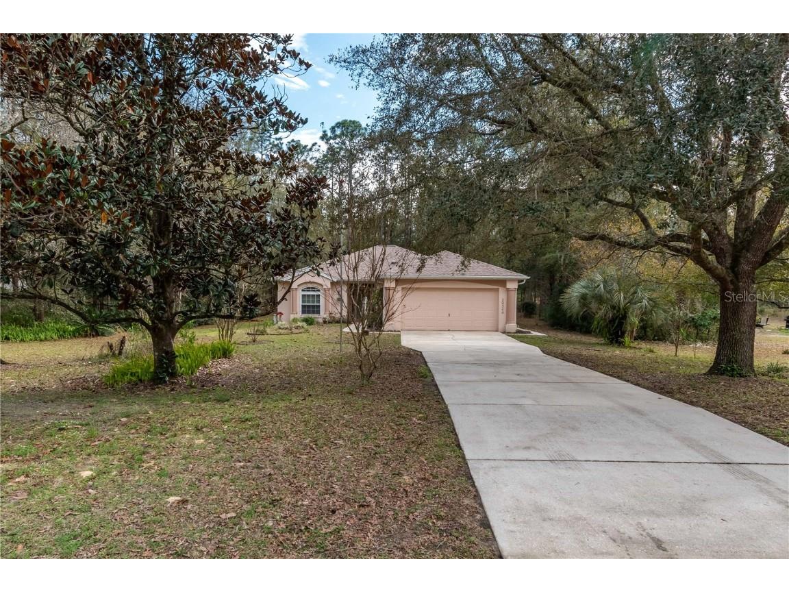 20540 SW 93rd Lane Road Dunnellon FL 34431 OM672467 image1