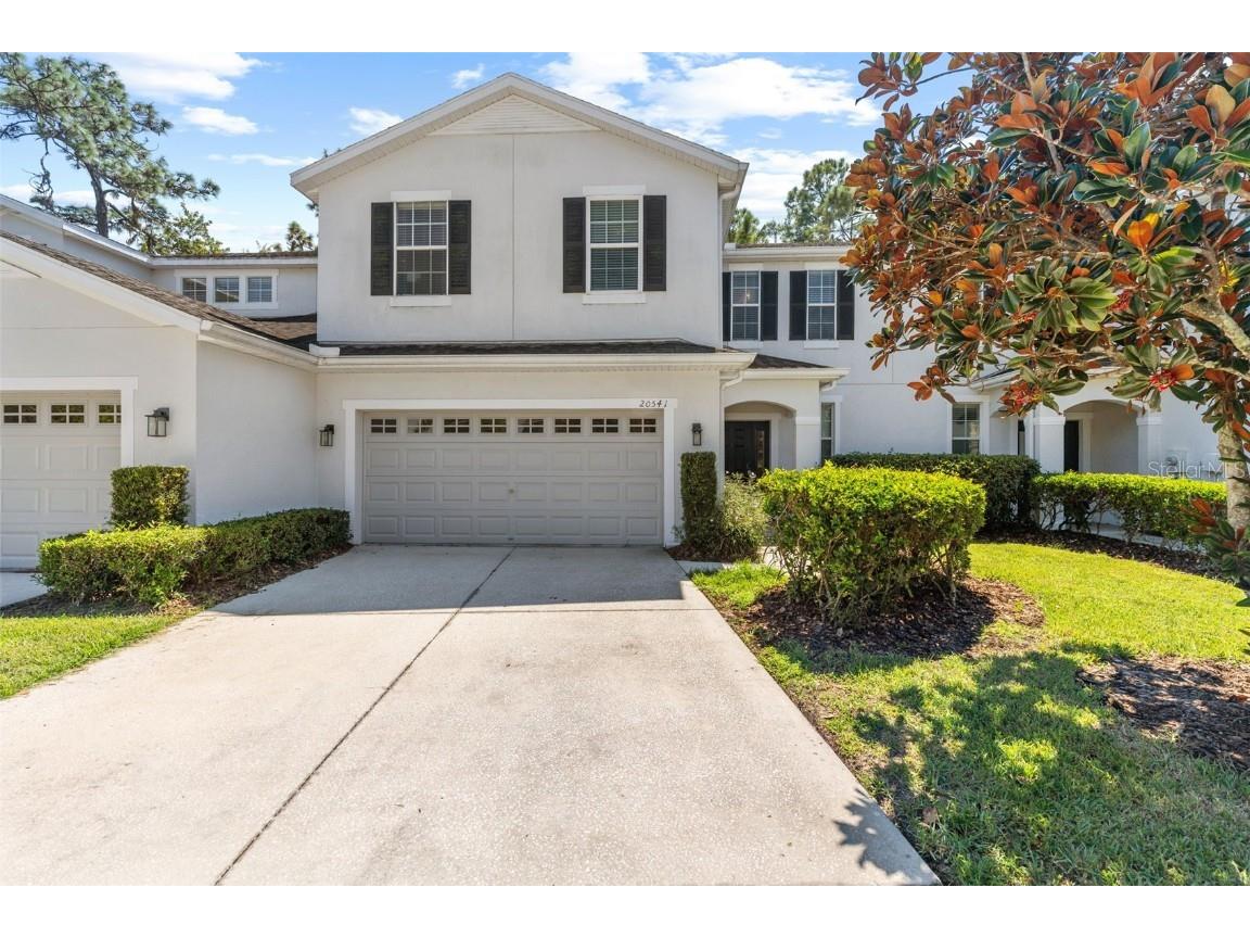20541 Grand Vista Lane Tampa FL 33647 TB8425580 image1