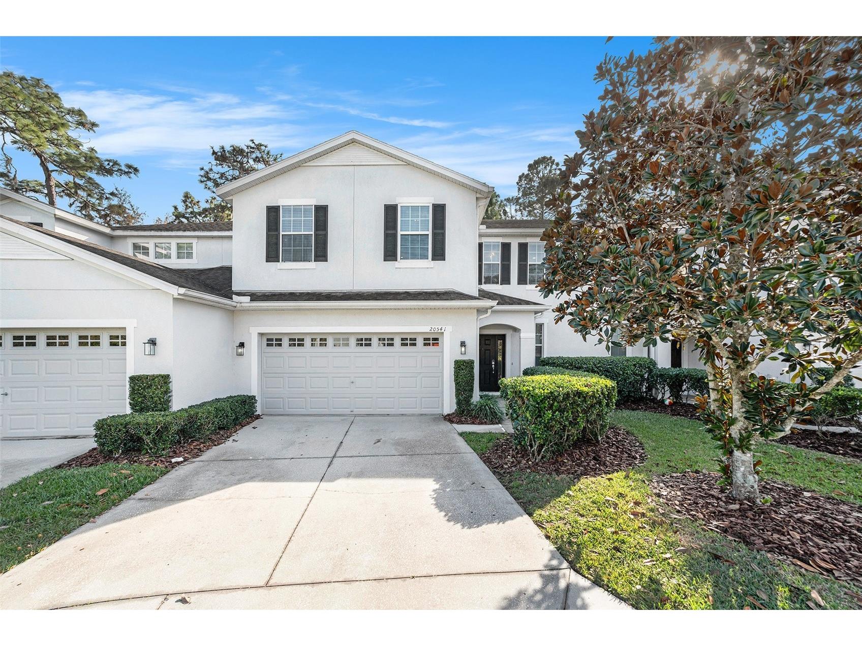 20541 Grand Vista Lane Tampa FL 33647 TB8454829 image1