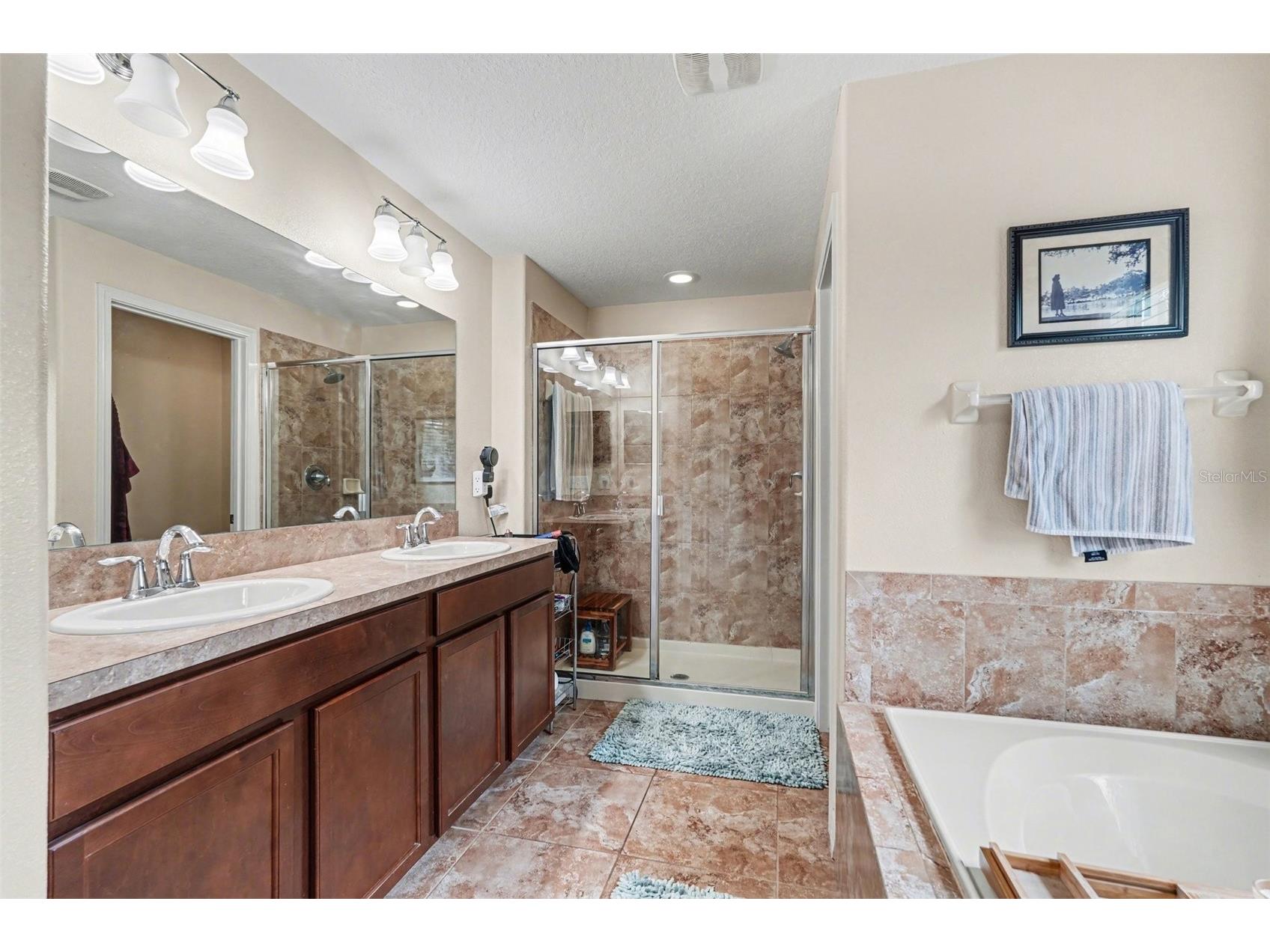 20542 Grand Vista Lane Tampa FL 33647 TB8494846 image24
