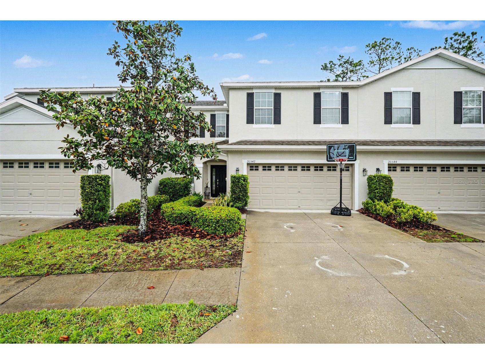 20542 Grand Vista Lane Tampa FL 33647 TB8494846 image5