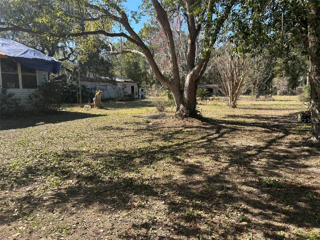 20545 SE 155th Place Umatilla FL 32784 O6278973 image11