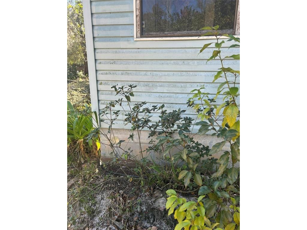 20545 SE 155th Place Umatilla FL 32784 O6278973 image12