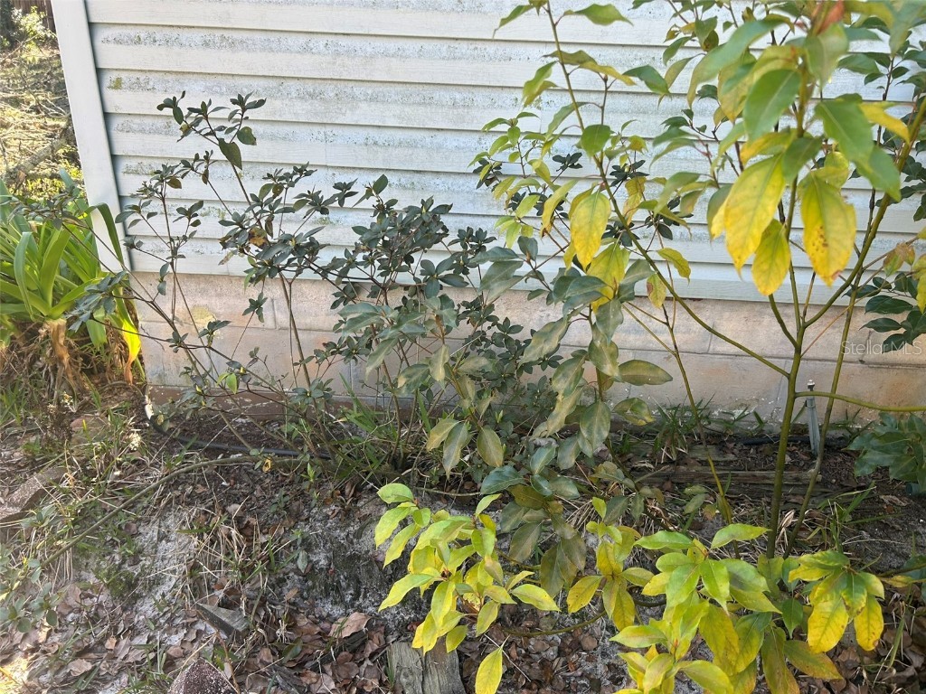 20545 SE 155th Place Umatilla FL 32784 O6278973 image25