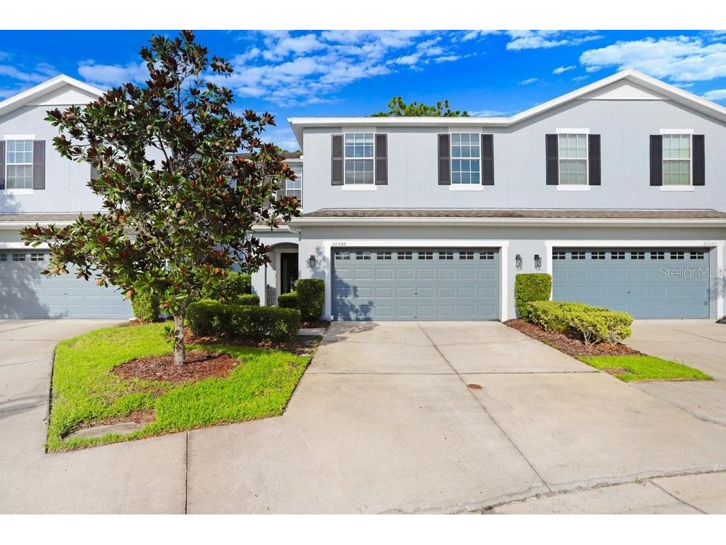 20548 Grand Vista Lane Tampa FL 33647 T3545988 image1