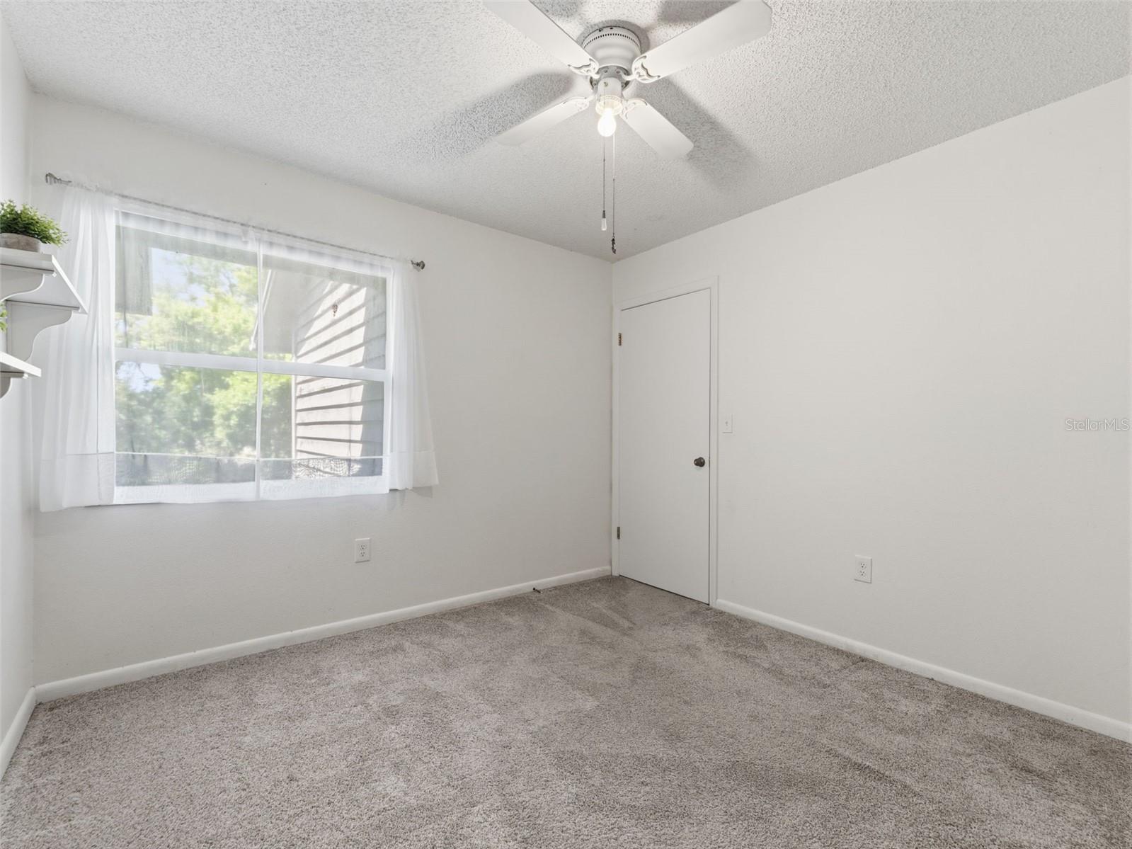 2055 Arbor Drive Clearwater FL 33760 - LONG BRANCH CREEK TB8488874 image24