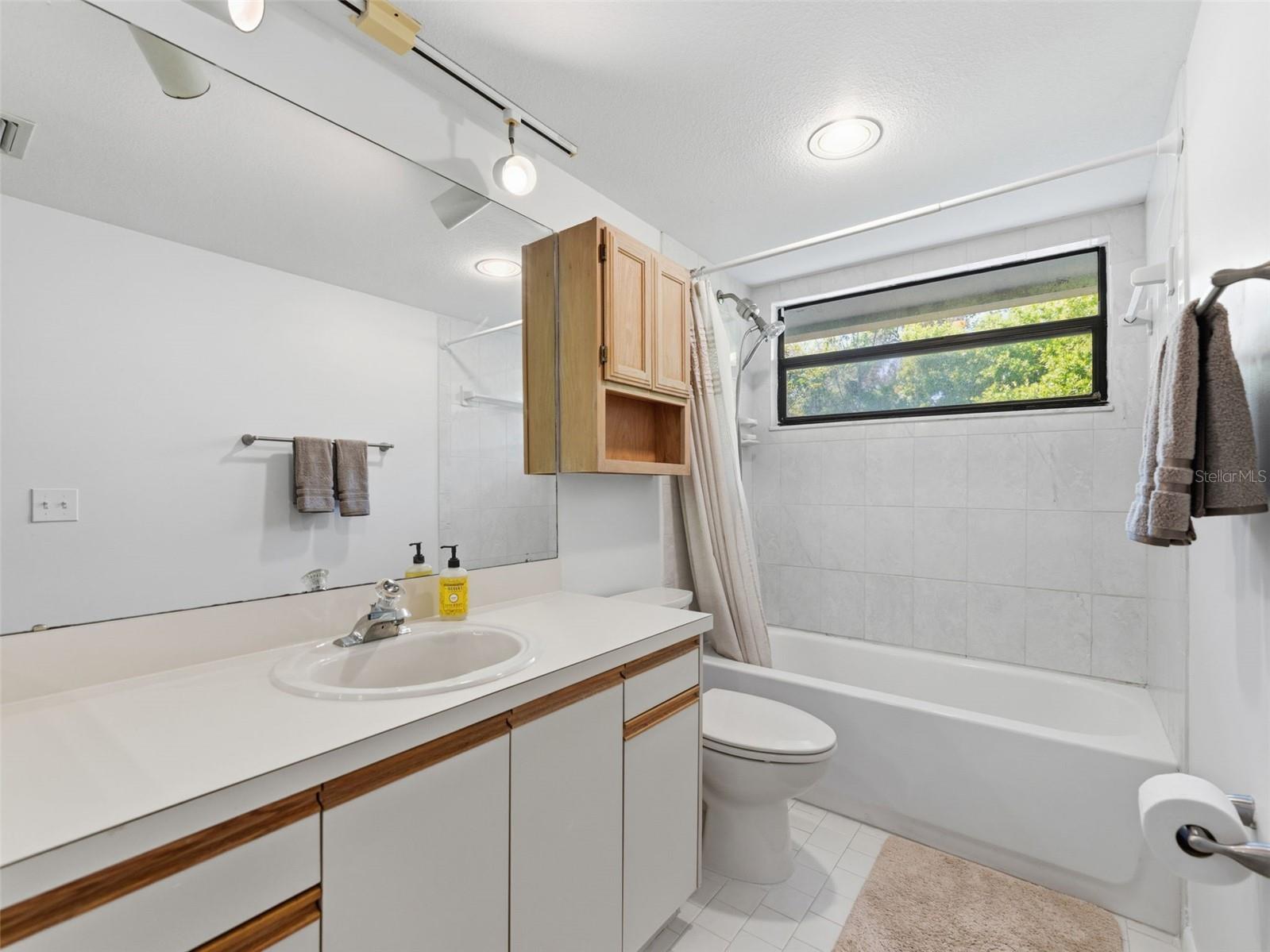 2055 Arbor Drive Clearwater FL 33760 - LONG BRANCH CREEK TB8488874 image26