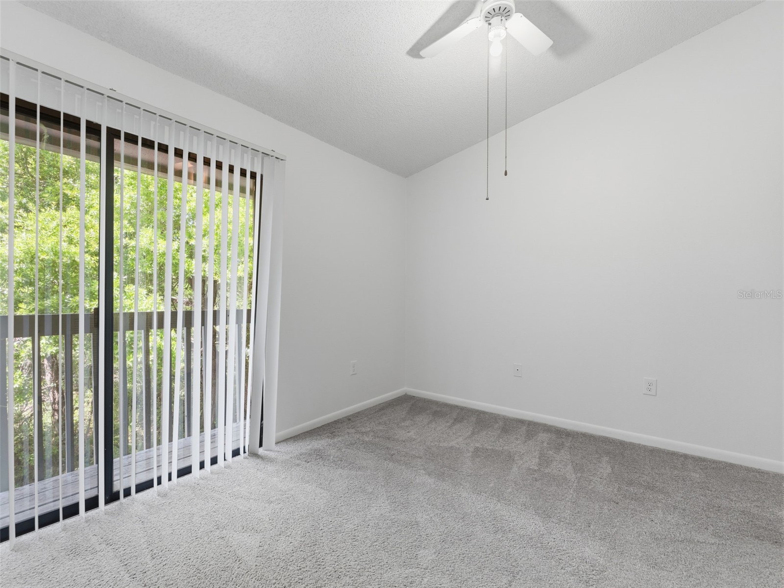 2055 Arbor Drive Clearwater FL 33760 - LONG BRANCH CREEK TB8488874 image28