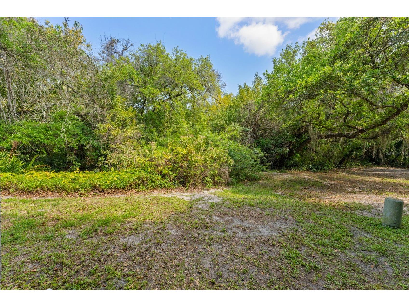 2055 Arbor Drive Clearwater FL 33760 - LONG BRANCH CREEK TB8488874 image32
