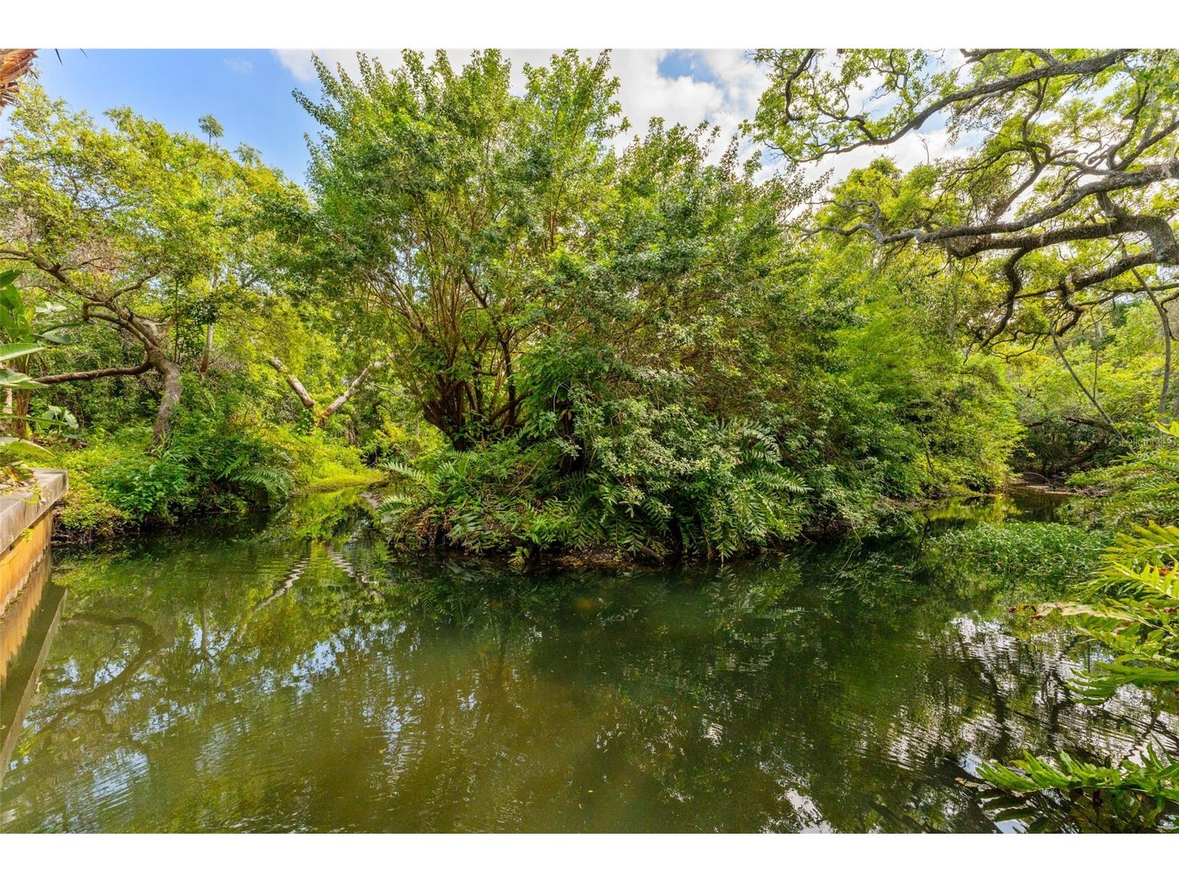 2055 Arbor Drive Clearwater FL 33760 - LONG BRANCH CREEK TB8488874 image33
