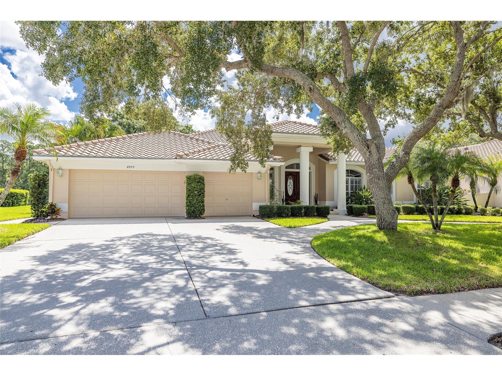 2055 Diamond Court Oldsmar FL 34677 - EAST LAKE WOODLANDS COMMUNITY TB8520799 image1