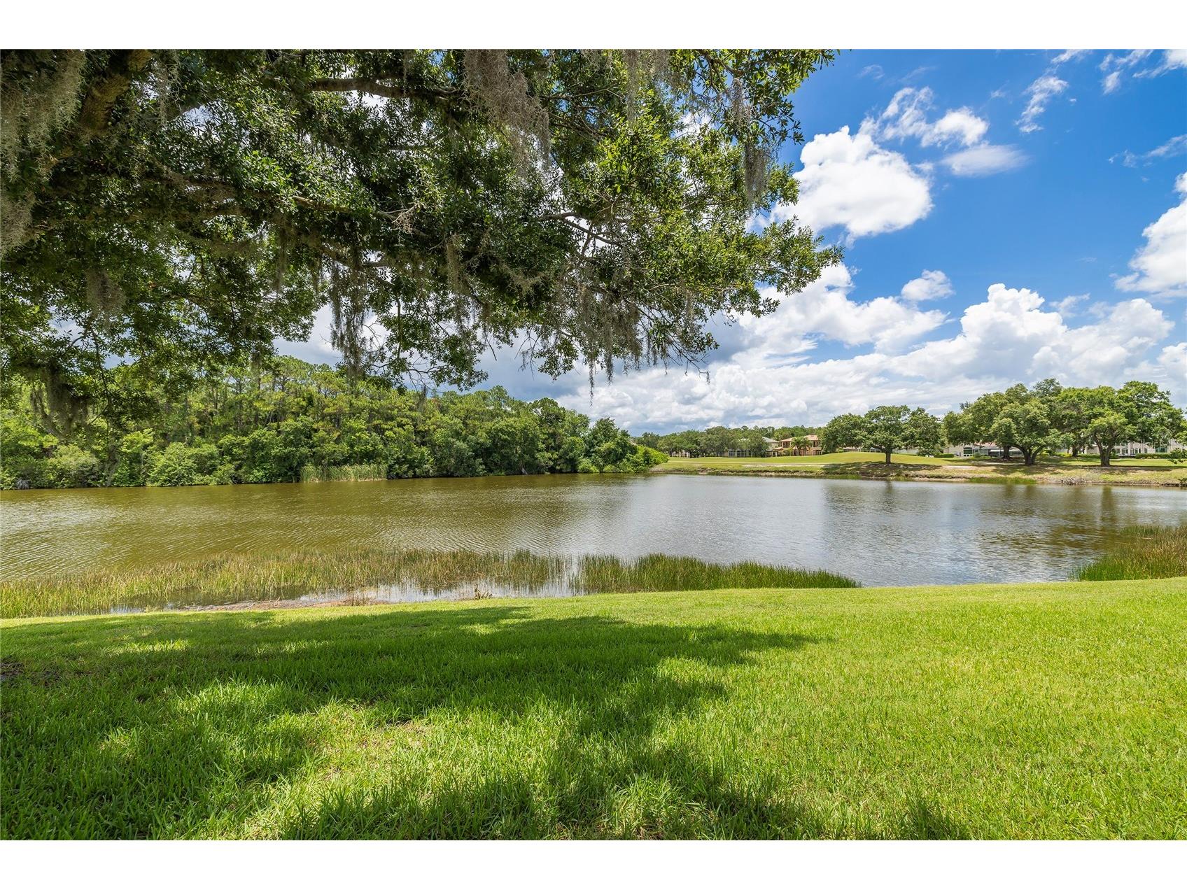 2055 Diamond Court Oldsmar FL 34677 - EAST LAKE WOODLANDS COMMUNITY TB8520799 image2