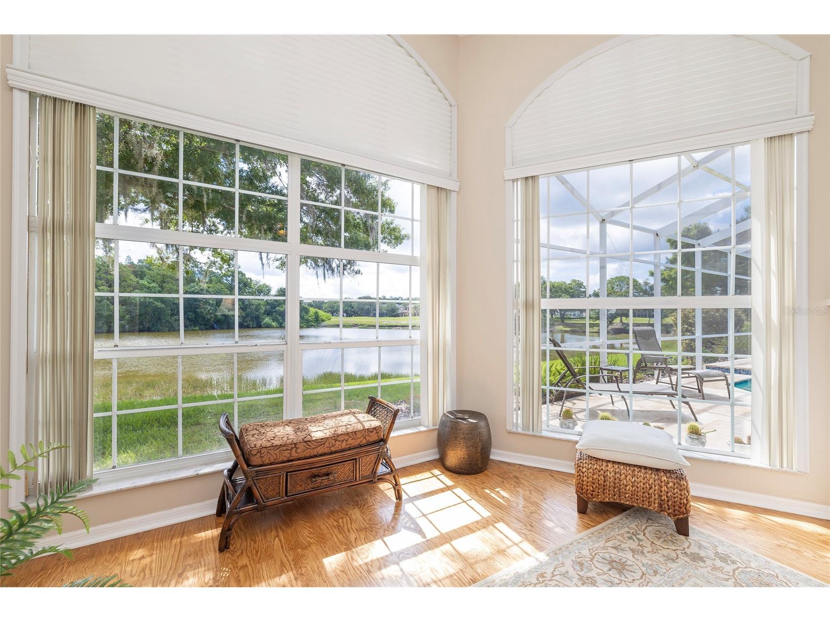 2055 Diamond Court Oldsmar FL 34677 - EAST LAKE WOODLANDS COMMUNITY TB8520799 image25