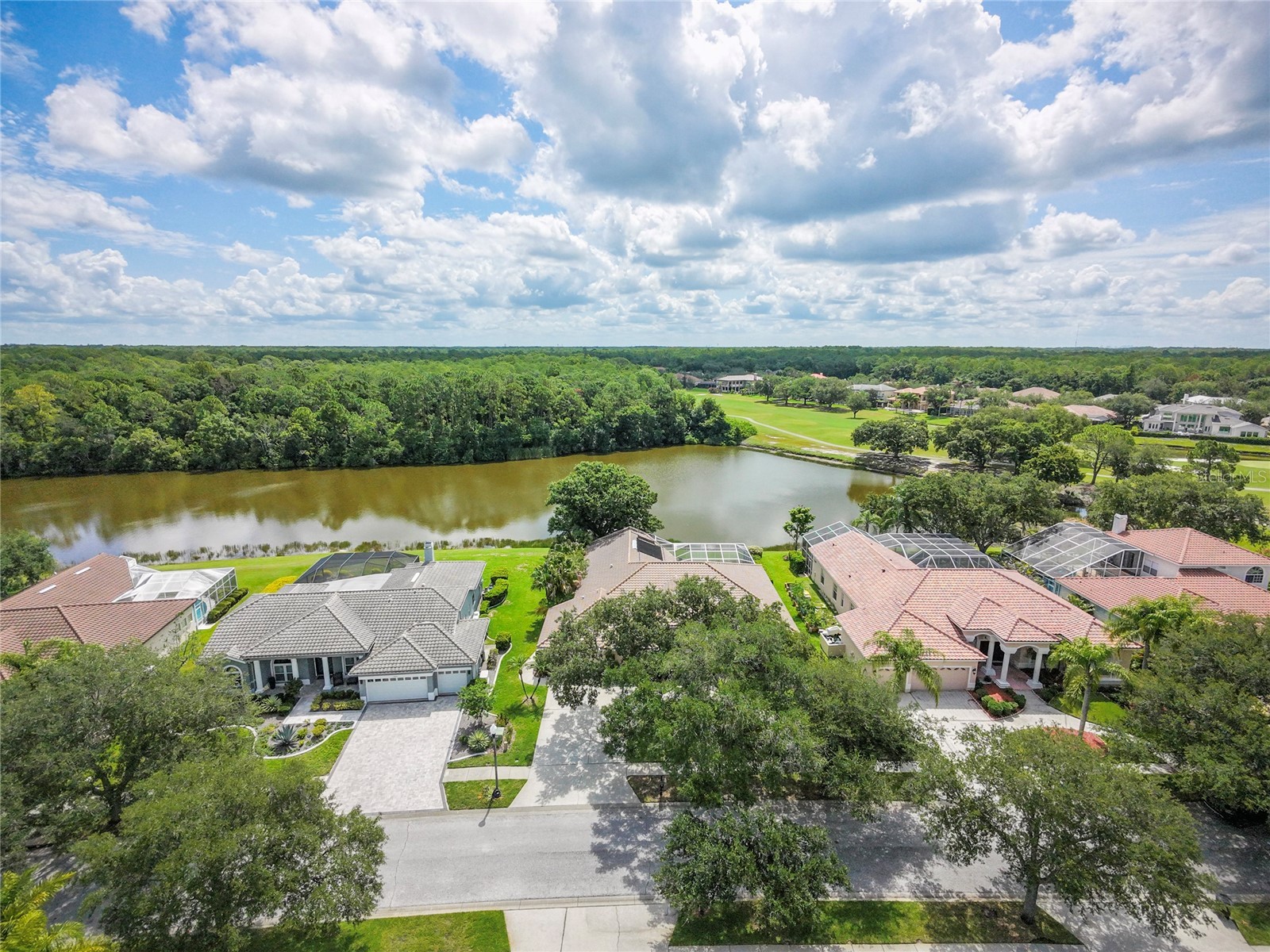 2055 Diamond Court Oldsmar FL 34677 - EAST LAKE WOODLANDS COMMUNITY TB8520799 image54