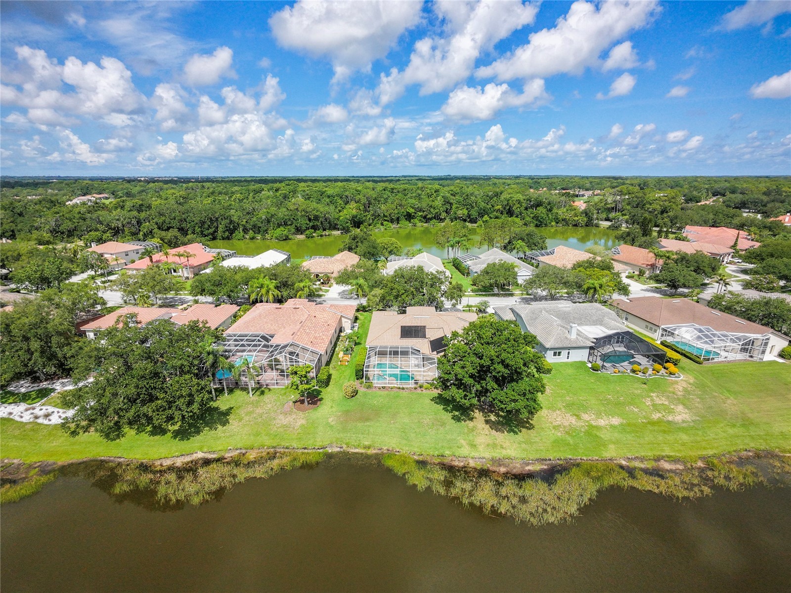 2055 Diamond Court Oldsmar FL 34677 - EAST LAKE WOODLANDS COMMUNITY TB8520799 image56