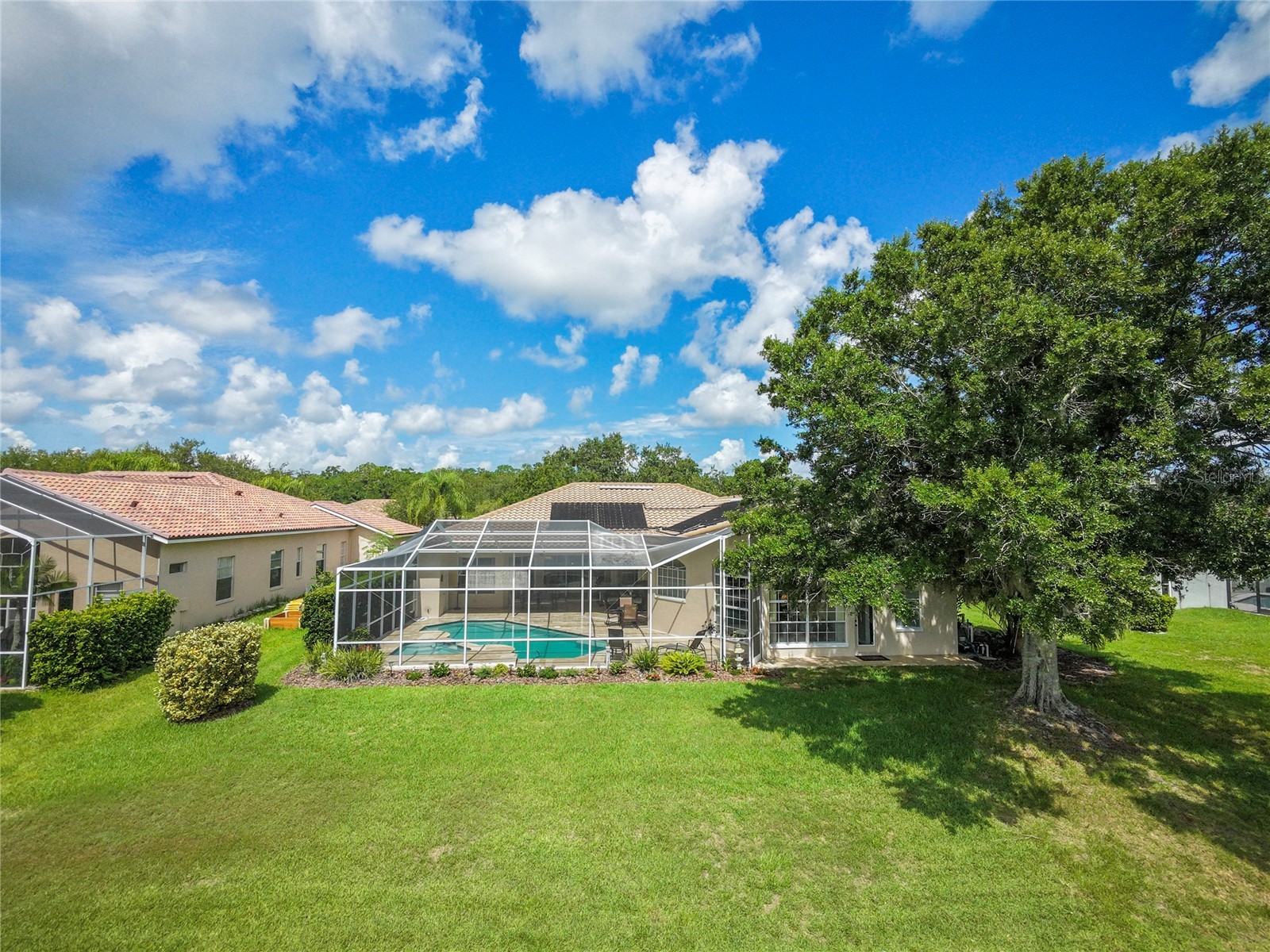 2055 Diamond Court Oldsmar FL 34677 - EAST LAKE WOODLANDS COMMUNITY TB8520799 image57