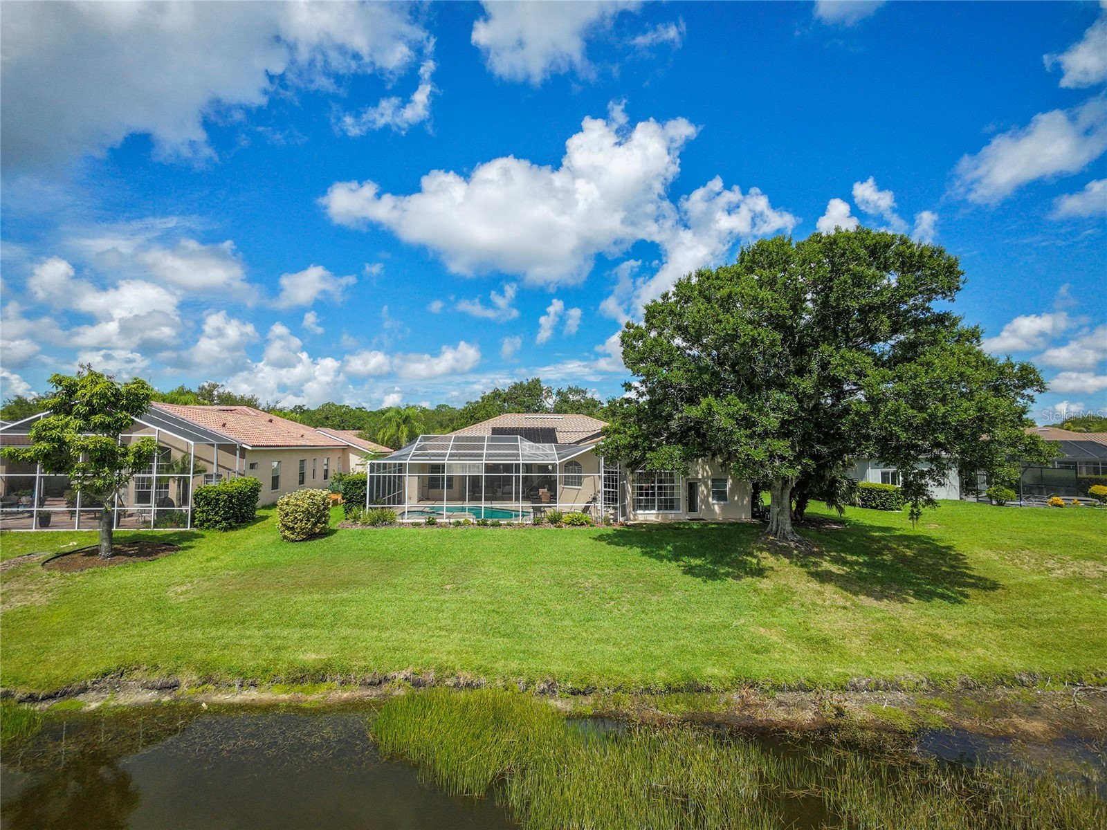2055 Diamond Court Oldsmar FL 34677 - EAST LAKE WOODLANDS COMMUNITY TB8520799 image58