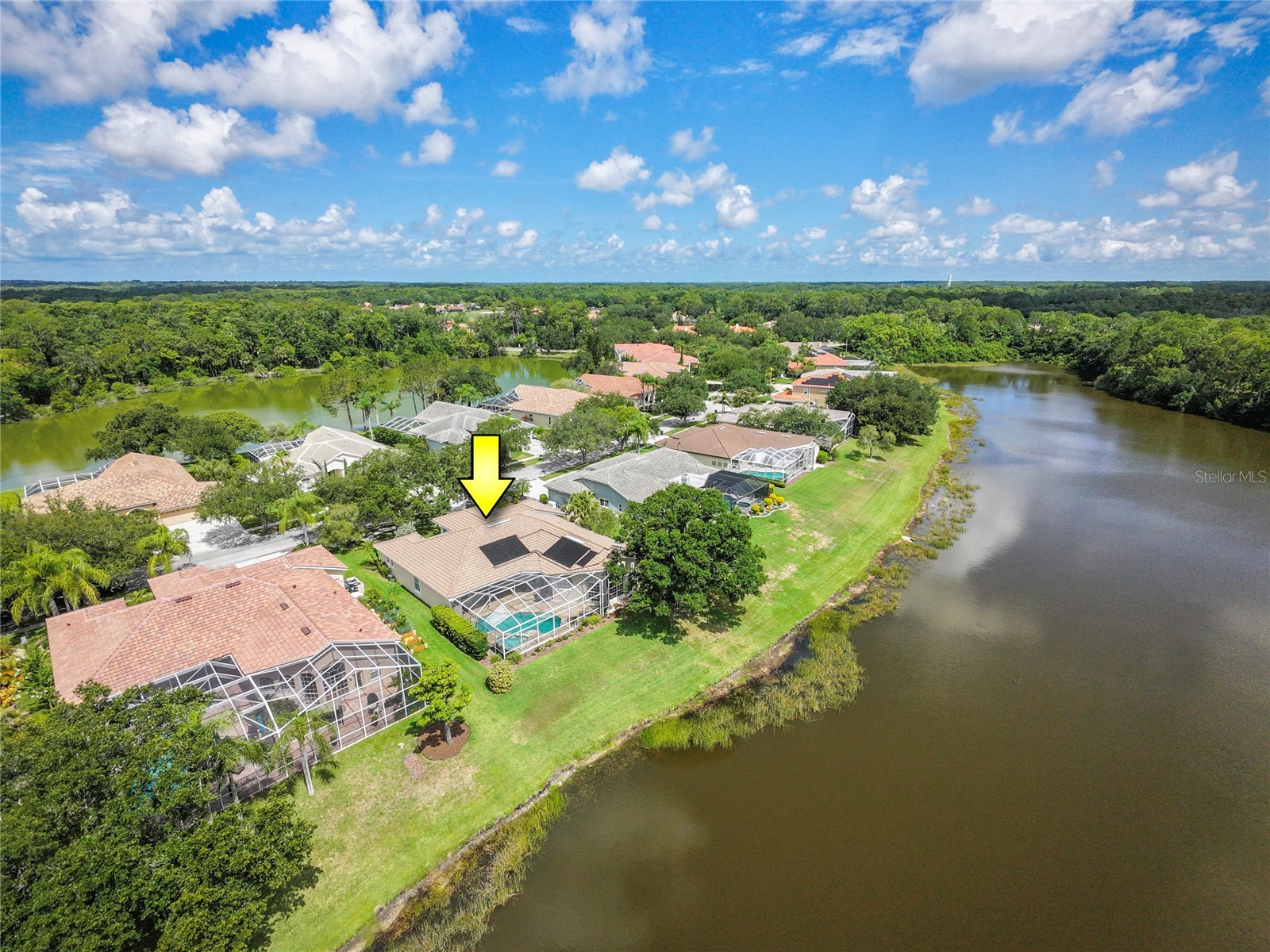 2055 Diamond Court Oldsmar FL 34677 - EAST LAKE WOODLANDS COMMUNITY TB8520799 image59