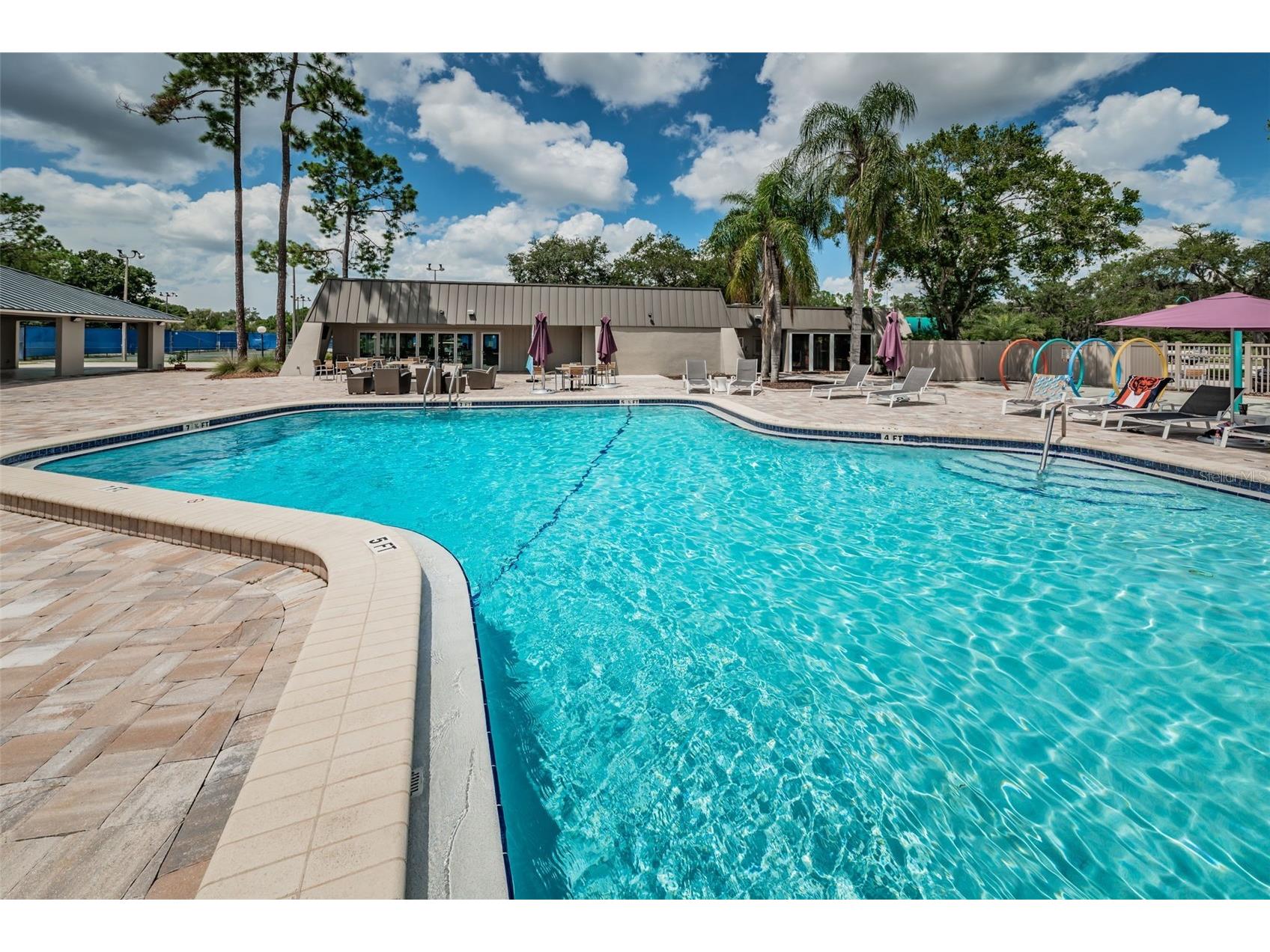 2055 Diamond Court Oldsmar FL 34677 - EAST LAKE WOODLANDS COMMUNITY TB8520799 image71