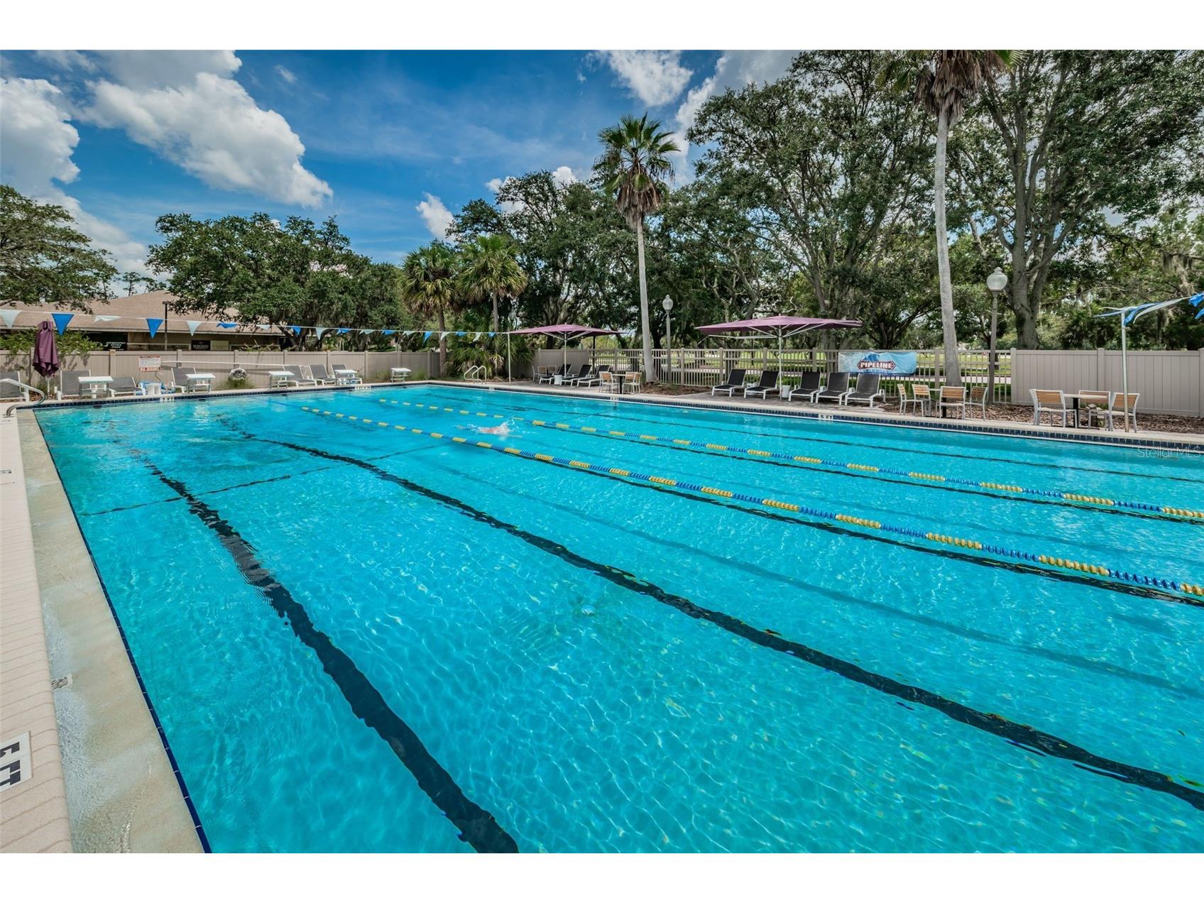 2055 Diamond Court Oldsmar FL 34677 - EAST LAKE WOODLANDS COMMUNITY TB8520799 image72