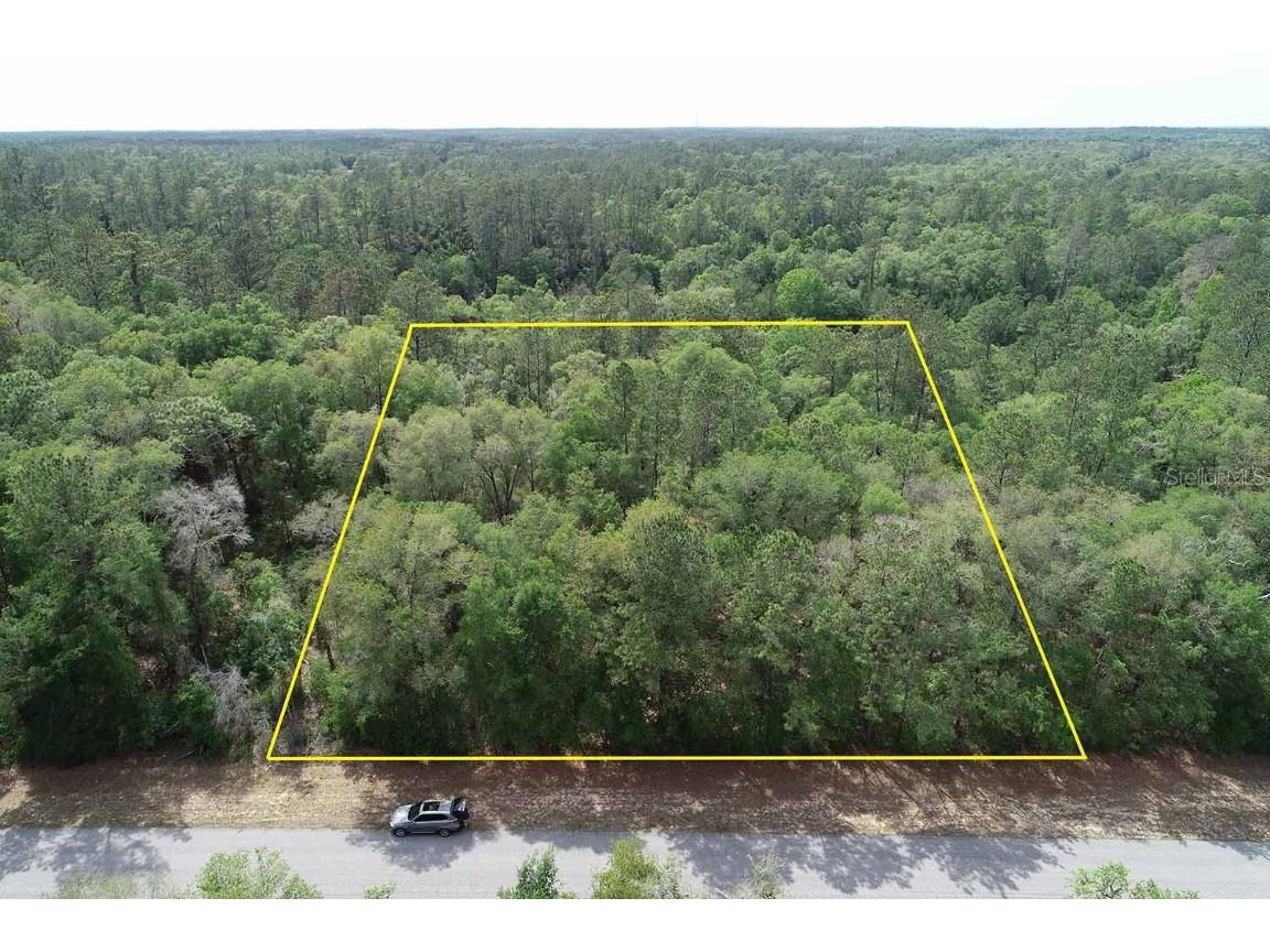 2055 E Citrus Springs Boulevard Citrus Springs FL 34434 OM657060 image1