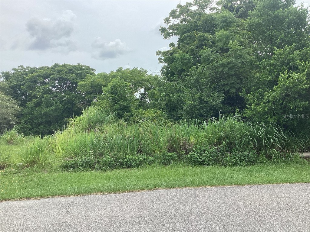 2055 E Prairie Circle Deltona FL 32725 O6325586 image1